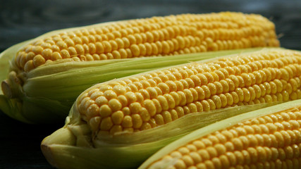 Closeup three ripe yellow appetizing corn ears with green leaves on table 
