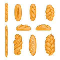Set of bakery products. Bread, loaf, hala, baguette in cartoon style. Vector illustration