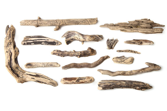 Set Of Driftwood Isolated On White Background. Pieces Of River Drift Wood. 