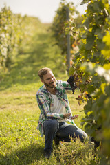 Young man working in the vineyard