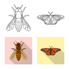 Vector design of insect and fly icon. Collection of insect and element vector icon for stock.