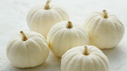 Heap of small white-colored pumpkins with dry stems on white background