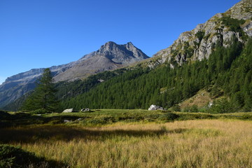 Valle d'Aosta - prati nell'alta valle di Gressoney