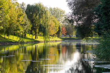 Reflection of trees in a river , Eskisehir,Turkey.