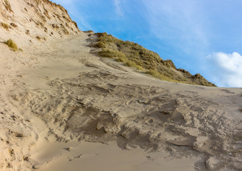 sandy dunes hill with dune grass at the seaside of northern holland. beautiful blue sky on a sunny day in the background.