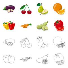 Vector design of vegetable and fruit icon. Collection of vegetable and vegetarian stock vector illustration.