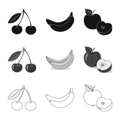 Isolated object of vegetable and fruit symbol. Collection of vegetable and vegetarian stock vector illustration.