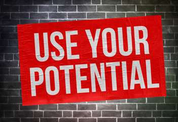 Fototapeta premium use your potential - poster concept