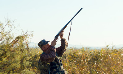 Silhouette of a hunter with a gun in the reeds against the sun, an ambush for ducks with dogs
