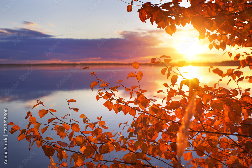 Poster colorful autumn landscape. branches of birch on the shore of the lake in the rays of the setting sun