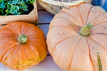 Two orange pumpkins and a wooden ivy box