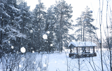 wooden gazebo in forest in the winter snow blizzard