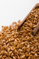 Seeds of golden flax on a white background