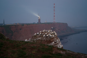 Steep bunter sandstone rocks of Heligoland in the evening light