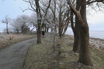 Obraz premium romantic walk by the sea in winter