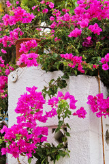 Agia Marina, Aegina Island, Greece