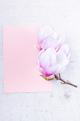 Magnolia flowers flat lay composition with copy space on pink paper background
