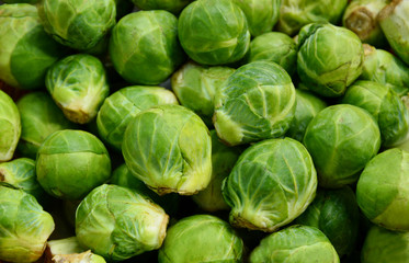 Many Brussels Sprouts with full frame.  Benefit of Brussels Sprouts.