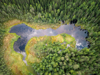 Spring lake with bog shores in forest