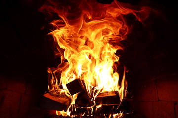 Fototapeta premium Long tongues of flame of burning fire