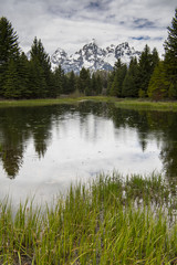 Schwabacher Landing at Grand Teton NP, WY, USA