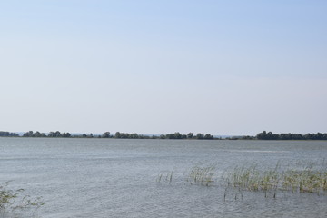River. Reed. Islands.