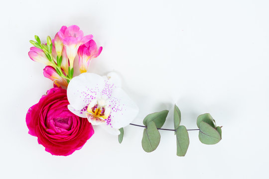 Flowers composition made of orchid and ranunculus ranunculus flowers on white background. Flat lay scene with copy space