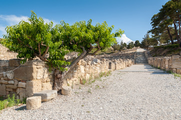 Fototapeta premium Ancient Kamiros, Hellenistic City mentioned by Homer, Greek Island of Rhodes, Rodos.
