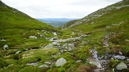 Obraz premium A mossy and rocky landscape.