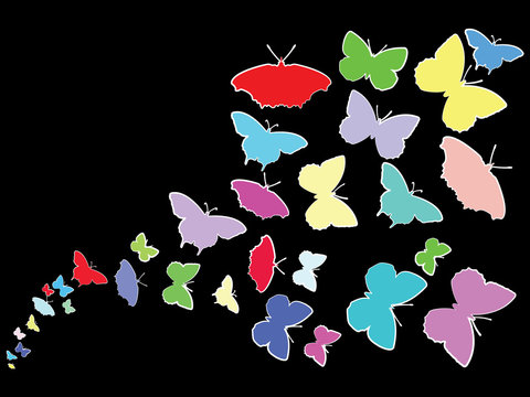 Colored Butterflies flying across screen on black background illustration 