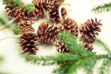 Fototapeta premium Soft focussed Christmas decoration on a white background. Cones and fir. Could be used as a background. Celebration on winter holidays Christmas and New Year. 