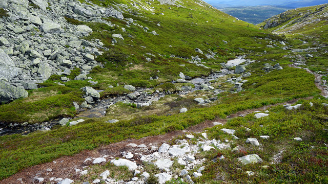 Small river in the mountain.