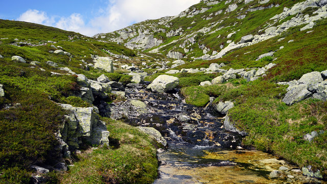Small river in the mountain.