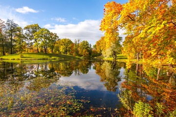 Autumn foliage in Alexander park, Tsarskoe Selo (Pushkin), St. Petersburg, Russia