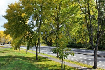 Fototapeta na wymiar Fall colors on a scenic parkway