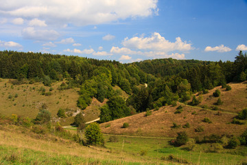 Fototapeta premium Wacholderheide auf der Schwäbischen Alb