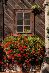Fototapeta na wymiar Fenster mit Geranien in einem alten Scheunentor