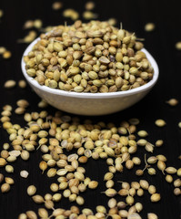coriander seeds in a bowl