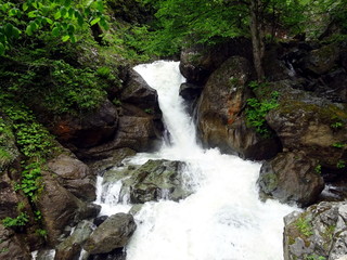 Mountain stream among the stones