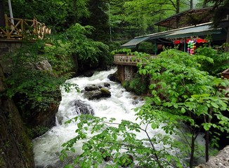 Mountain river among the stones and forest