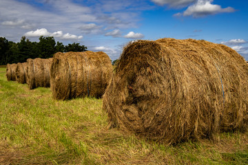 Bales of Hay 11