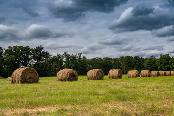 Bales of Hay 30