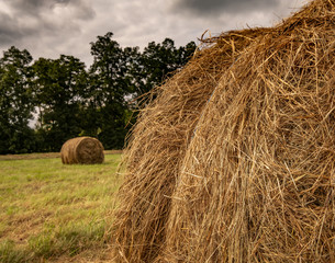 Bales of Hay 38