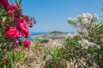View framed with flowers. Pink and white Nerium Oleander in blossom. Distant view at Lindos Town and Castle with ancient ruins of the Acropolis on sunny warm day. Island of Rhodes, Greece.