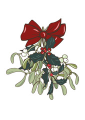 Composition of Christmas plants, poinsettia, Holly, cones, ivy and mistletoe, vector illustration