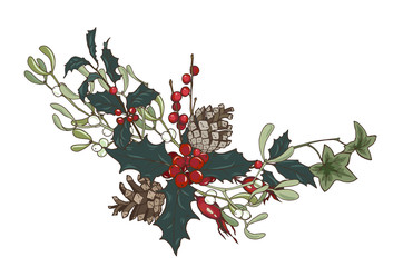Composition of Christmas plants, fir branches, Holly, cones, ivy and mistletoe, vector illustration