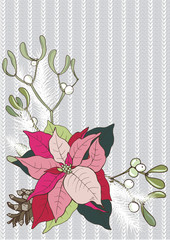 Composition of Christmas plants, poinsettia, Holly, cones, ivy and mistletoe, vector illustration