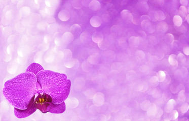 Naklejka na ściany i meble Bokeh background and space in center for text and for card purple color .