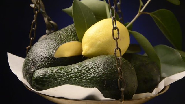 Persea americana Palta Avocado Aguacate Авокадо Smaczliwka 鳄梨 wdzięczna video रूचिरा Avokado movie &Alpha;&beta;&omicron;&kappa;ά&nu;&tau;&omicron; L&aacute;rpera 
