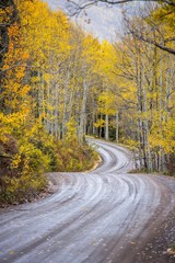 Obraz premium Colorado back roads in Autumn
